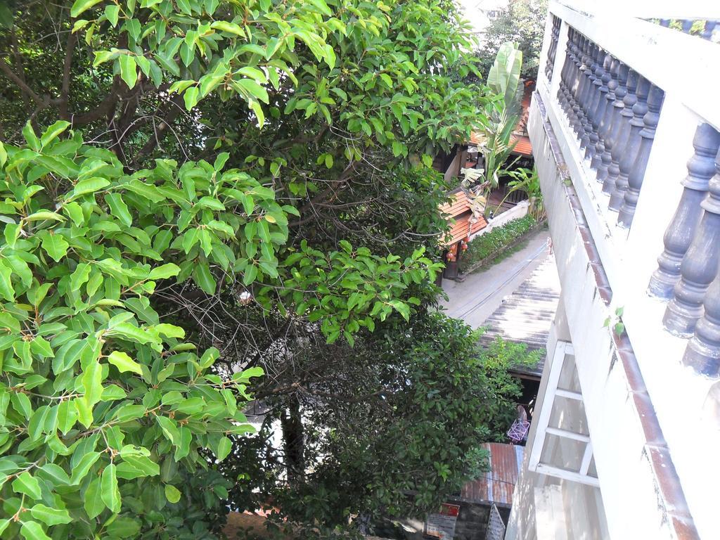 Chiangmai Inn Guesthouse شيانغ ماي المظهر الخارجي الصورة