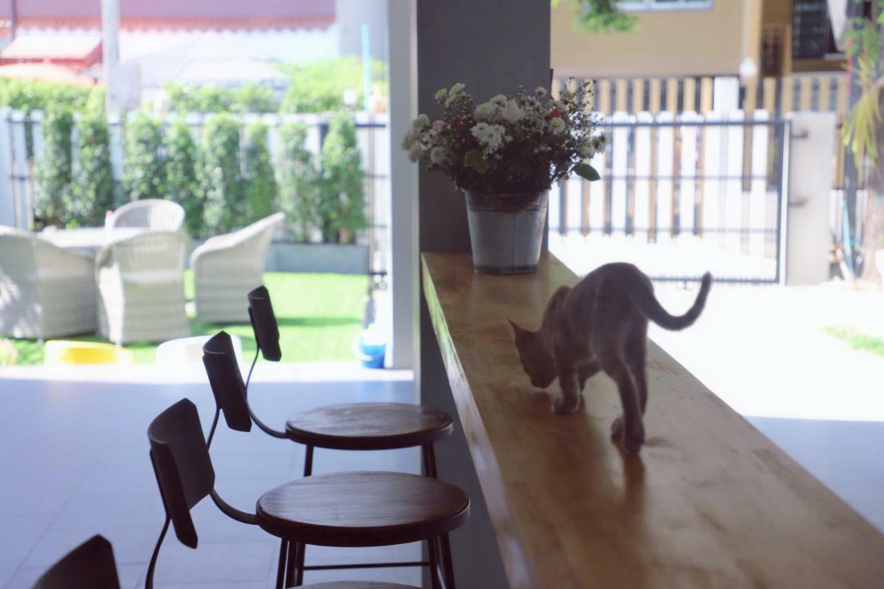 Chiangmai Inn Guesthouse شيانغ ماي المظهر الخارجي الصورة
